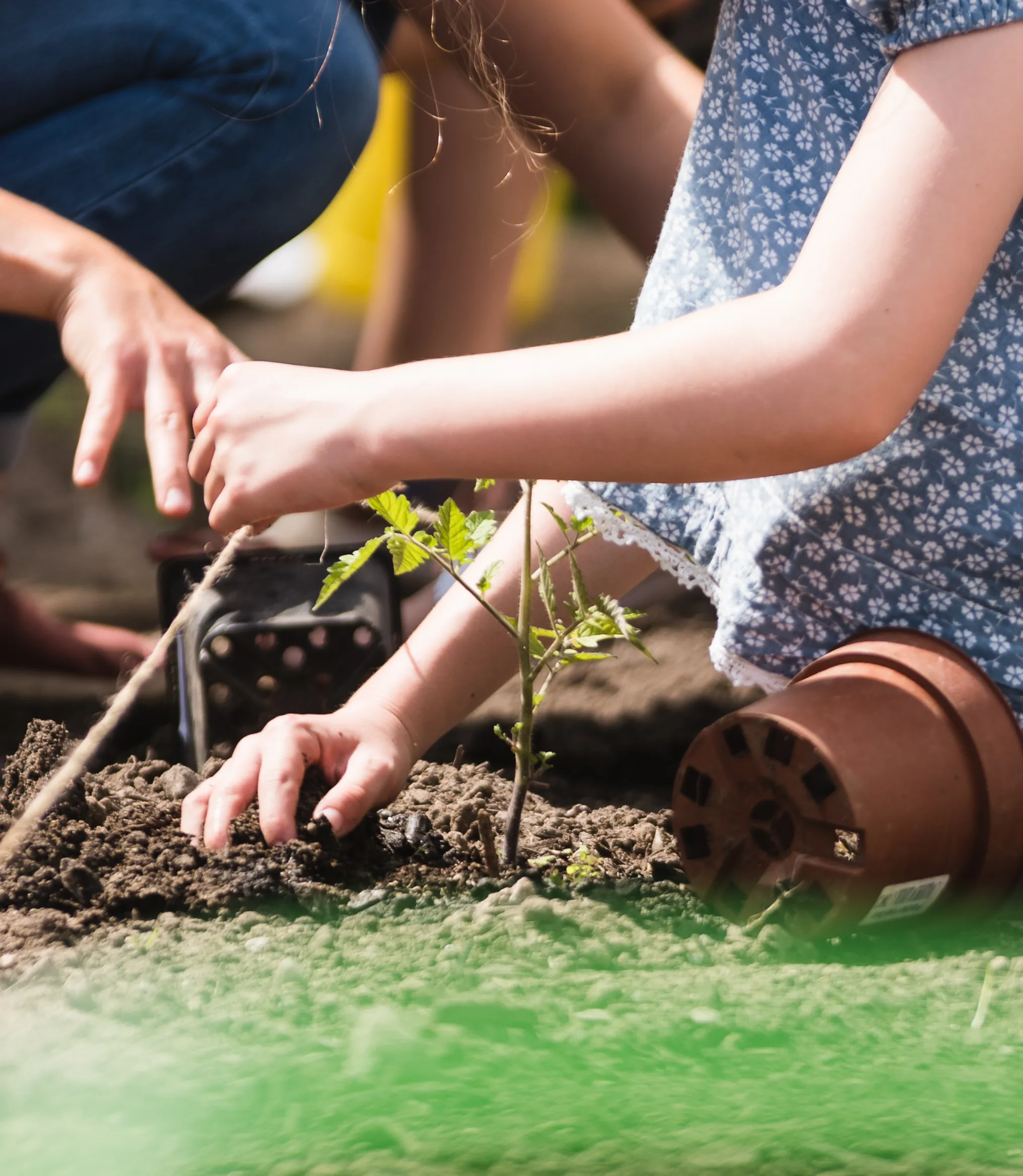 Planten Un Spelen 220519 96 (1)