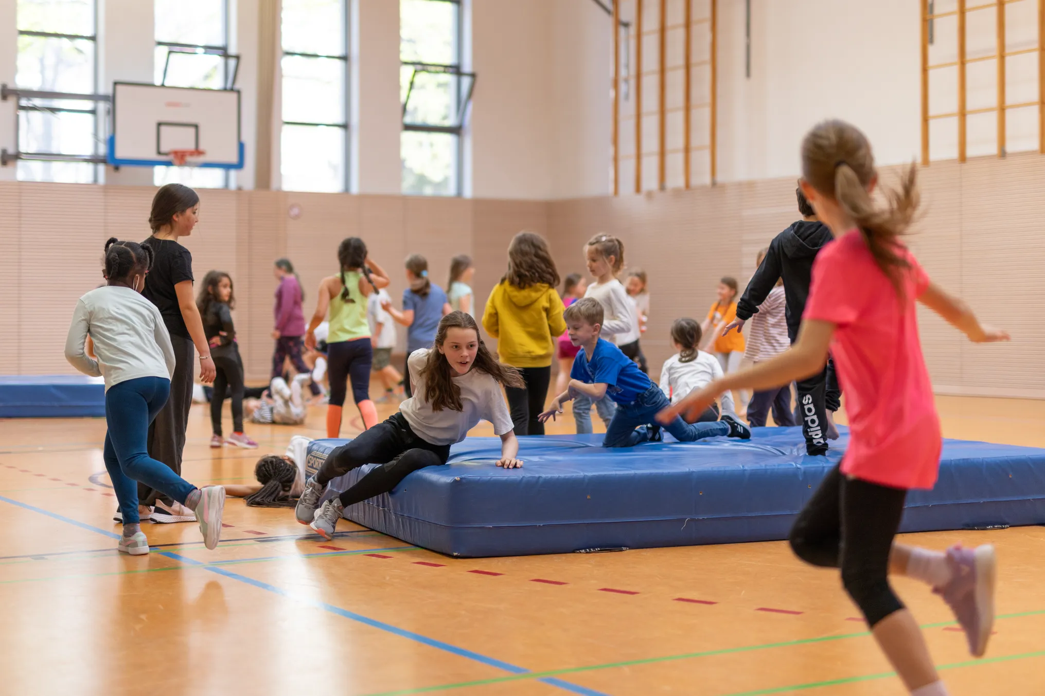 Sts Web Kleine Auswahl (15 Von 16)